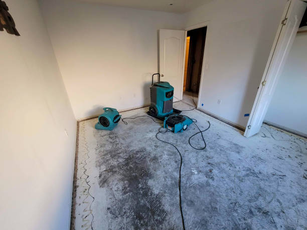 Best Emergency water damage restoration  in Midway, AR