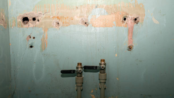 Best Ceiling water damage repair  in Midway, AR