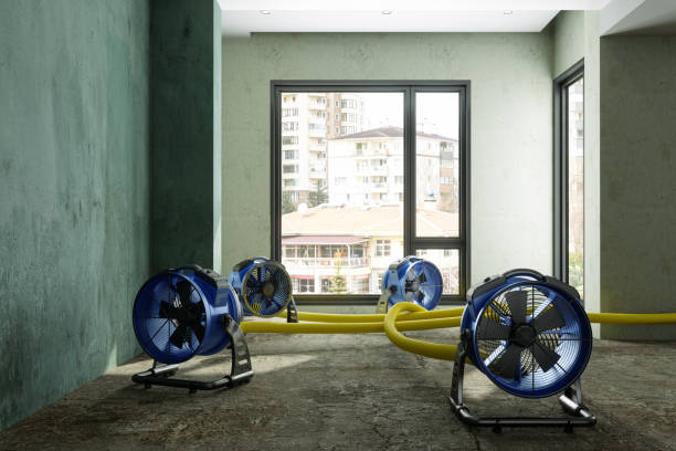 Best Carpet water damage restoration  in Midway, AR