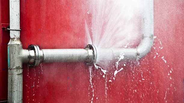 Best Mold removal after water damage  in Midway, AR