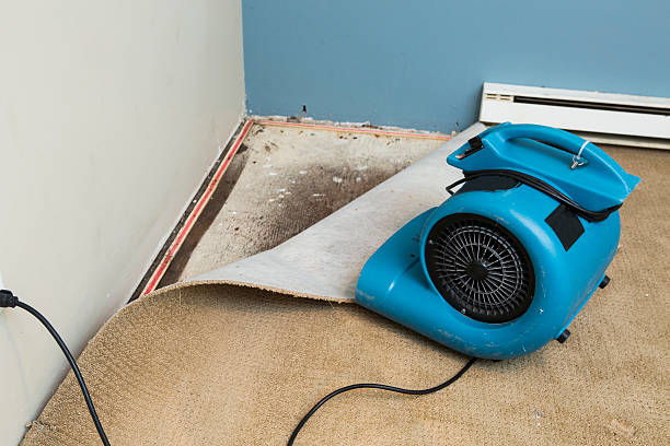 Best Fire Damage Restoration  in Midway, AR